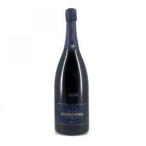 Trentodoc Brut