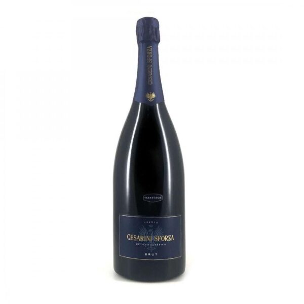 Trentodoc Brut